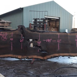 Goby Walnut Products Oregon Black Walnut Slab 030321-04