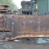Goby Walnut Products Oregon Black Walnut Slab 030321-05