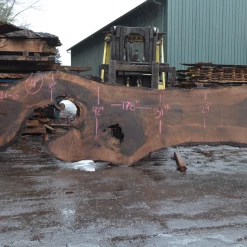 Goby Walnut Products Green Slabs Oregon Black Walnut Slab 030321-06