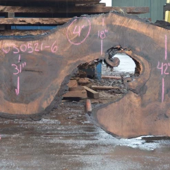 Goby Walnut Products Green Slabs Oregon Black Walnut Slab 030321-06