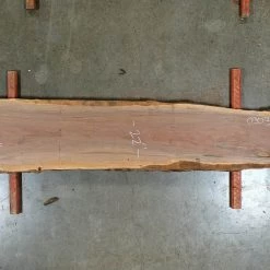 Goby Walnut Oregon Black Walnut Slab 030322-1