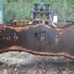 Goby Walnut Oregon Black Walnut Slab 030615-01 Green Slabs