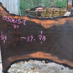 Goby Walnut Oregon Black Walnut Slab 030615-01 Green Slabs