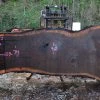 Goby Walnut Oregon Black Walnut Slab 030615-02 Green Slabs