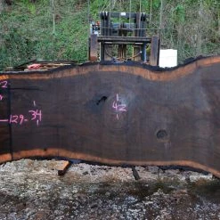 Goby Walnut Oregon Black Walnut Slab 030615-02 Green Slabs