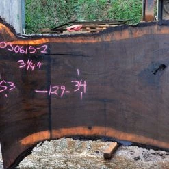 Goby Walnut Oregon Black Walnut Slab 030615-02 Green Slabs