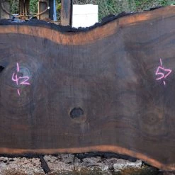 Goby Walnut Oregon Black Walnut Slab 030615-02 Green Slabs