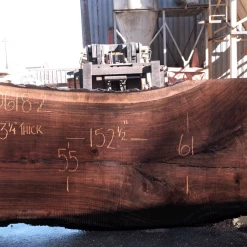 Goby Walnut Products Green Slabs Oregon Black Walnut 030618-02