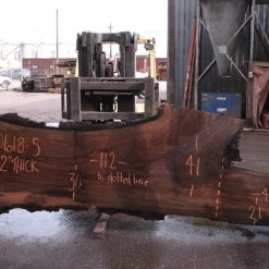 Goby Walnut Products Oregon Black Walnut 030618-05 Green Slabs