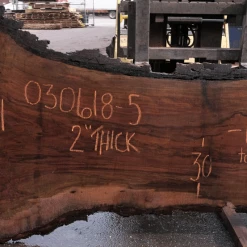 Goby Walnut Products Oregon Black Walnut 030618-05 Green Slabs