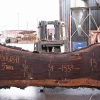 Goby Walnut Products Green Slabs Oregon Black Walnut 030618-11