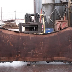 Goby Walnut Products Green Slabs Oregon Black Walnut 030618-12