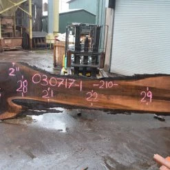 Goby Walnut Products Green Slabs Oregon Black Walnut Slab 030717-01