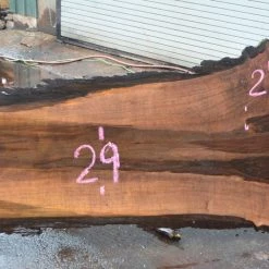 Goby Walnut Products Green Slabs Oregon Black Walnut Slab 030717-01