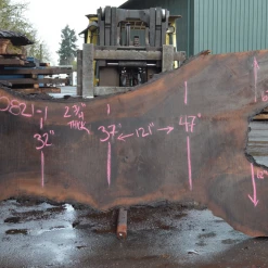 Goby Walnut Products Green Slabs Oregon Black Walnut Slab 030821-01