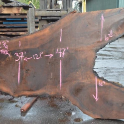 Goby Walnut Products Green Slabs Oregon Black Walnut Slab 030821-01