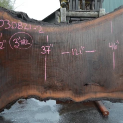 Goby Walnut Products Oregon Black Walnut Slab 030821-02 Green Slabs