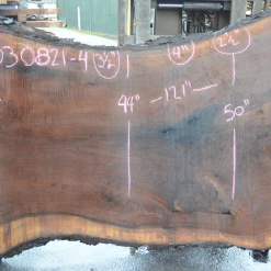 Goby Walnut Products Oregon Black Walnut Slab 030821-04 Green Slabs