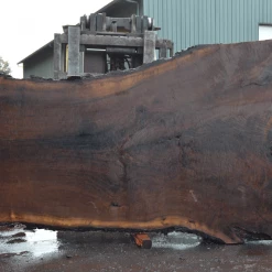 Goby Walnut Products Green Slabs Oregon Black Walnut Slab 030821-05