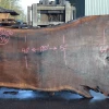 Goby Walnut Products Oregon Black Walnut Slab 030821-06