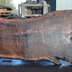 Goby Walnut Products Oregon Black Walnut Slab 030821-06