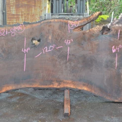 Goby Walnut Products Oregon Black Walnut Slab 030821-08