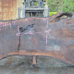 Goby Walnut Products Oregon Black Walnut Slab 030821-09 Green Slabs