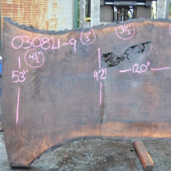 Goby Walnut Products Oregon Black Walnut Slab 030821-09 Green Slabs