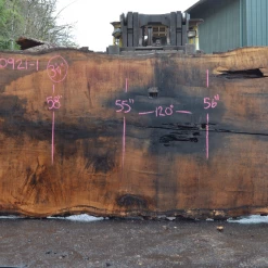 Goby Walnut Products Oregon White Oak Slab 030921-01 Green Slabs