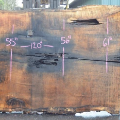 Goby Walnut Products Oregon White Oak Slab 030921-01 Green Slabs
