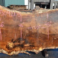 Goby Walnut Products Green Slabs Oregon White Oak Slab 030921-03