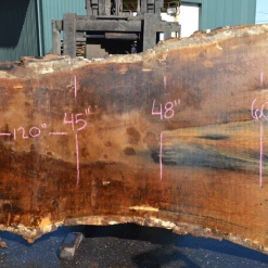 Goby Walnut Products Green Slabs Oregon White Oak Slab 030921-03