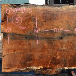 Goby Walnut Products Oregon White Oak Slab 030921-05 Green Slabs