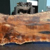 Goby Walnut Products Green Slabs Oregon White Oak Slab 030921-07