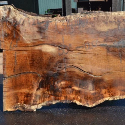 Goby Walnut Products Green Slabs Oregon White Oak Slab 030921-07