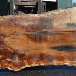Goby Walnut Products Green Slabs Oregon White Oak Slab 030921-07