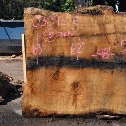 Goby Walnut Products Green Slabs Oregon White Oak Slab 030921-08