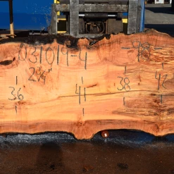 Goby Walnut Products 031019-04 Big Leaf Maple Green Slabs