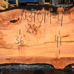 Goby Walnut Products 031019-04 Big Leaf Maple Green Slabs