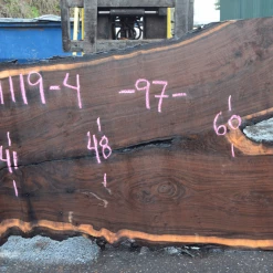Goby Walnut Products 031119-04 Oregon Black Walnut Slab Green Slabs