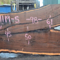 Goby Walnut Products 031119-05 Oregon Black Walnut Slab