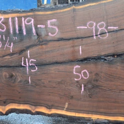 Goby Walnut Products 031119-05 Oregon Black Walnut Slab