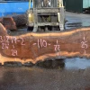 Goby Walnut Products 031219-02 Oregon Black Walnut Slab Green Slabs