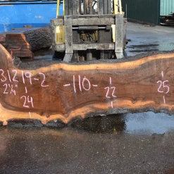 Goby Walnut Products 031219-02 Oregon Black Walnut Slab Green Slabs