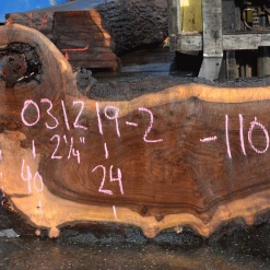 Goby Walnut Products 031219-02 Oregon Black Walnut Slab Green Slabs