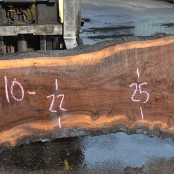 Goby Walnut Products 031219-02 Oregon Black Walnut Slab Green Slabs