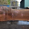 Goby Walnut Products Green Slabs 031219-05 Oregon Black Walnut Slab