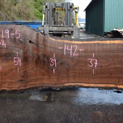 Goby Walnut Products Green Slabs 031219-05 Oregon Black Walnut Slab