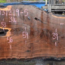 Goby Walnut Products Green Slabs 031219-05 Oregon Black Walnut Slab