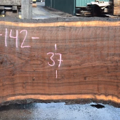 Goby Walnut Products Green Slabs 031219-05 Oregon Black Walnut Slab